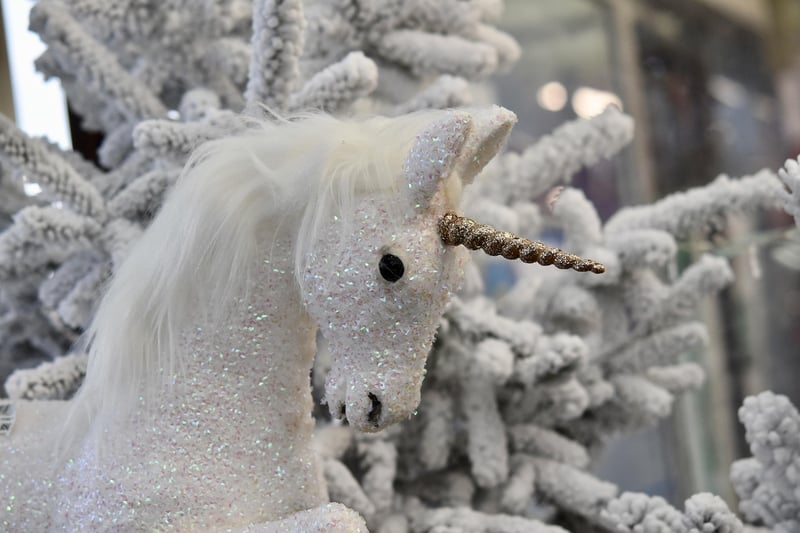 Whimsical Wonderland Image